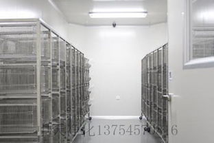 凈化工程凈化實驗室設計與施工