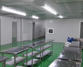 潔凈室凈化工程 滁州凈化工程 安徽騰義 經(jīng)驗豐富
